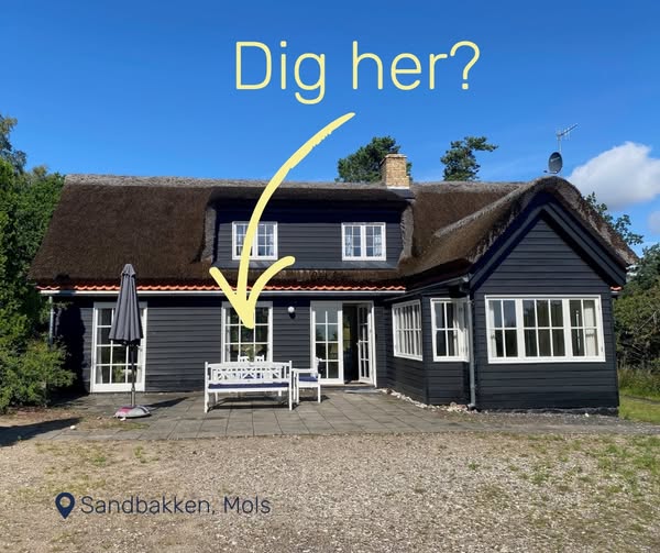 613716478 1286796290145601 8137567910479502640 N